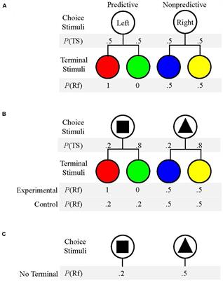 Human Choice Predicted by Obtained Reinforcers, Not by Reinforcement Predictors